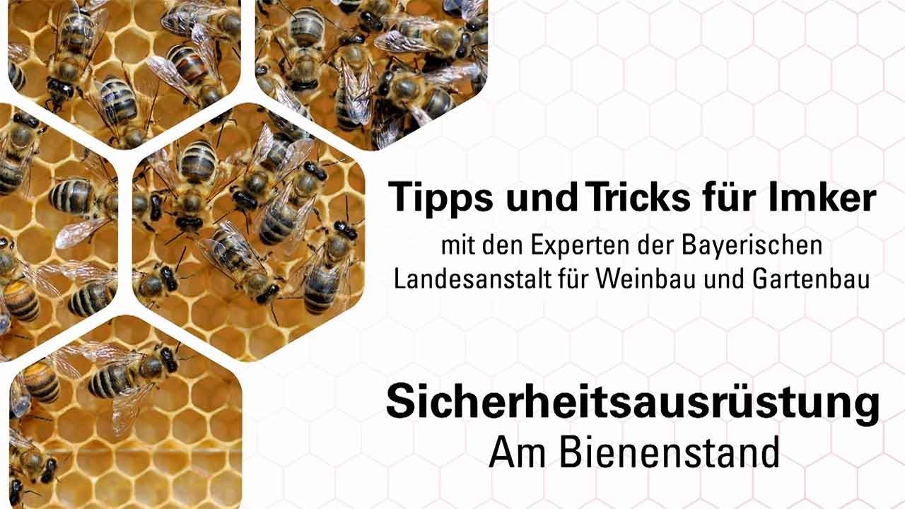 Imkerpraxis: Wie sch&uuml;tze ich mich vor Bienenstichen?