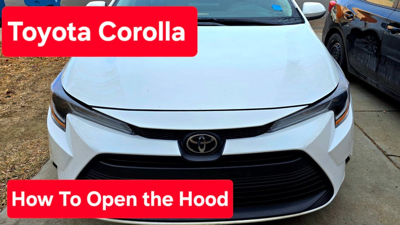 Как открыть капот на Toyota Corolla E210 2020-2024 годов выпуска