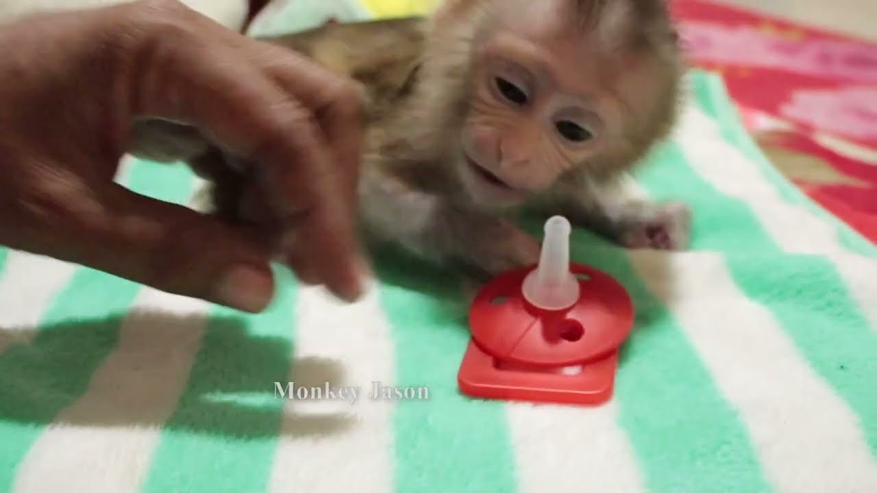 Little Jason Look Mom Hand Cute Wonder