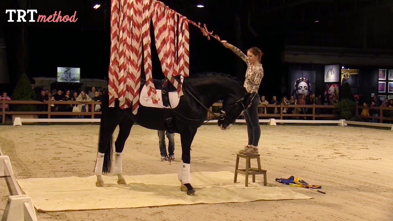 Demonstration long lines @Indoor Brabant