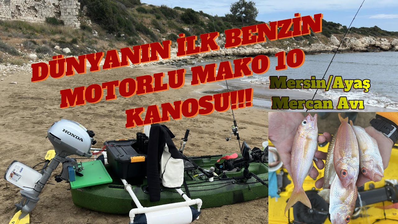 MERSİN/AYAŞTA MERCAN BALIKLARI ÇILDIRDI!!! HER YER BALIK. #mersin #balıkavı #mercanavı #balık #fyp