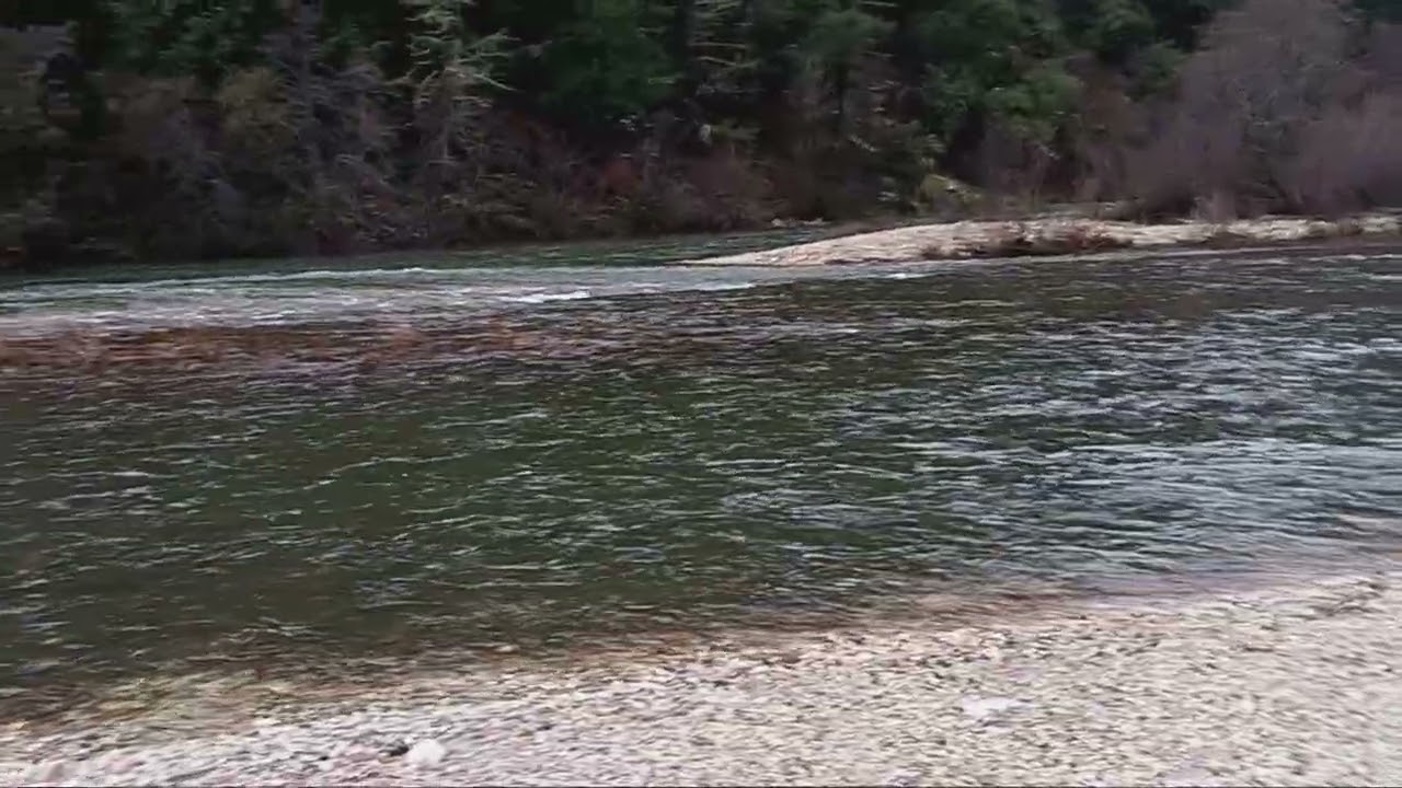 Bear River flows February 19, 2026  800 cfs snow