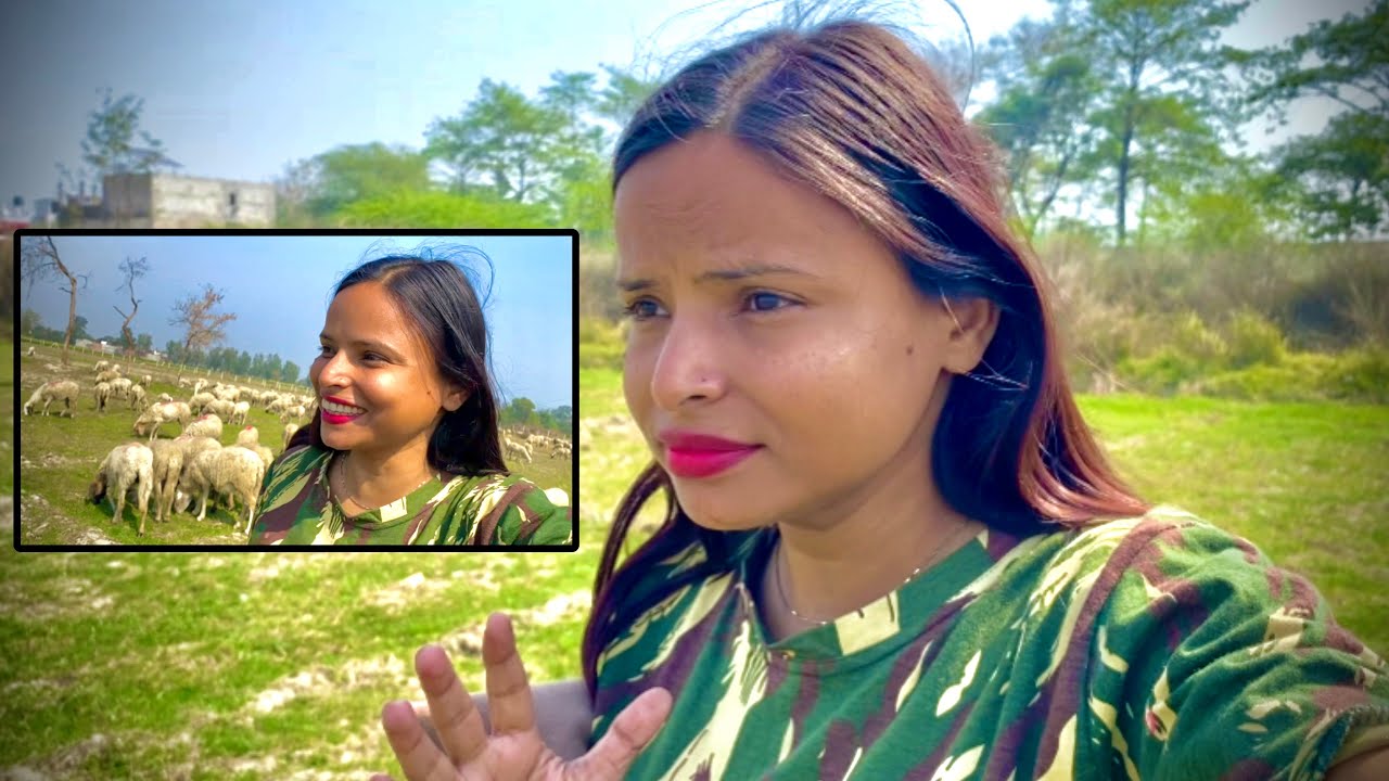 Jija Ji Ke Sath Khet Gaye Ghumne😍 #dailyvlog 