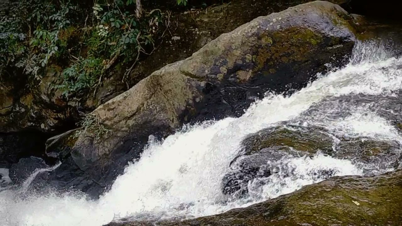 #Uluppuni #Waterfall#jeep safari#vagmon#idukki#fog#mist