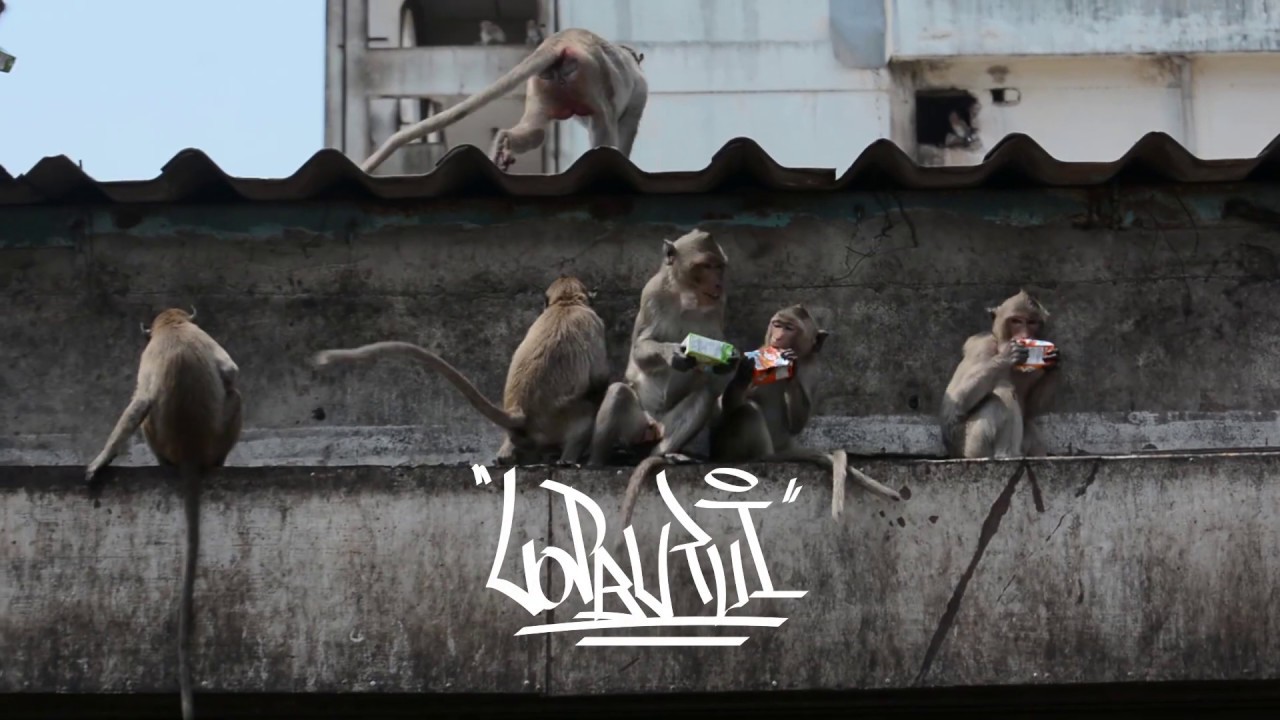 CYNN x LOPBURUI Live Art 2019 - Graffiti Lopburi, Thailand