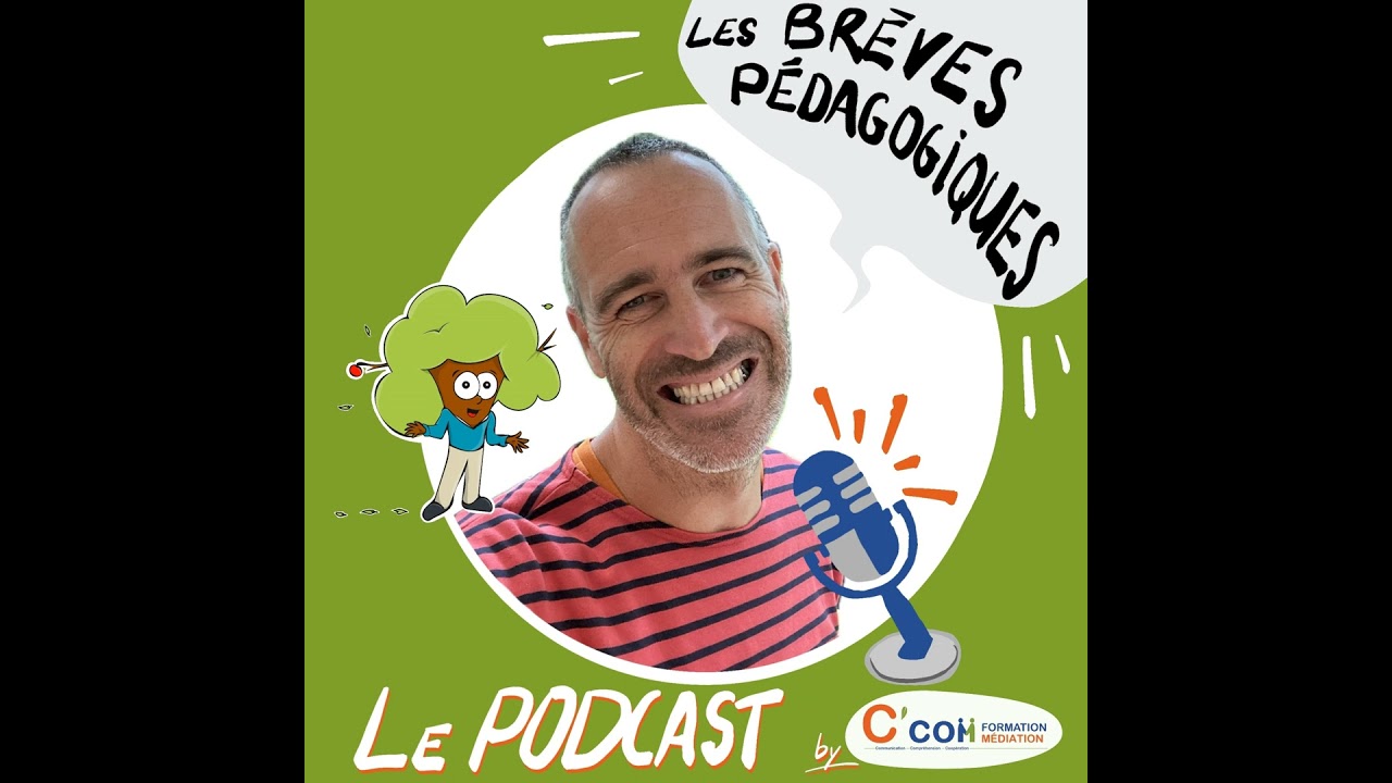 Épisode 0 - Pourquoi ce podcast ?