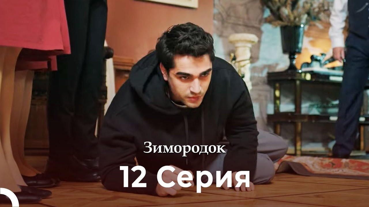 Зимородок 12 Cерия (Русский дубляж) (4K)