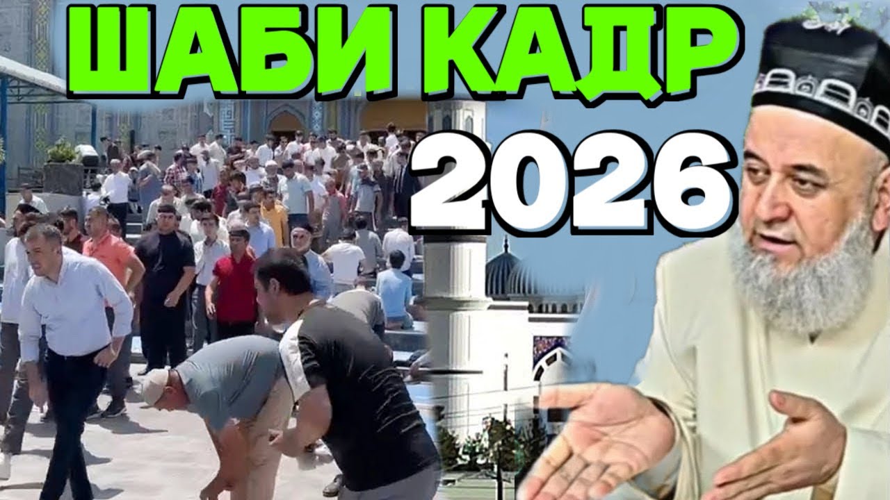 ХОЧИ МИРЗО ШАБИ КАДР 2026