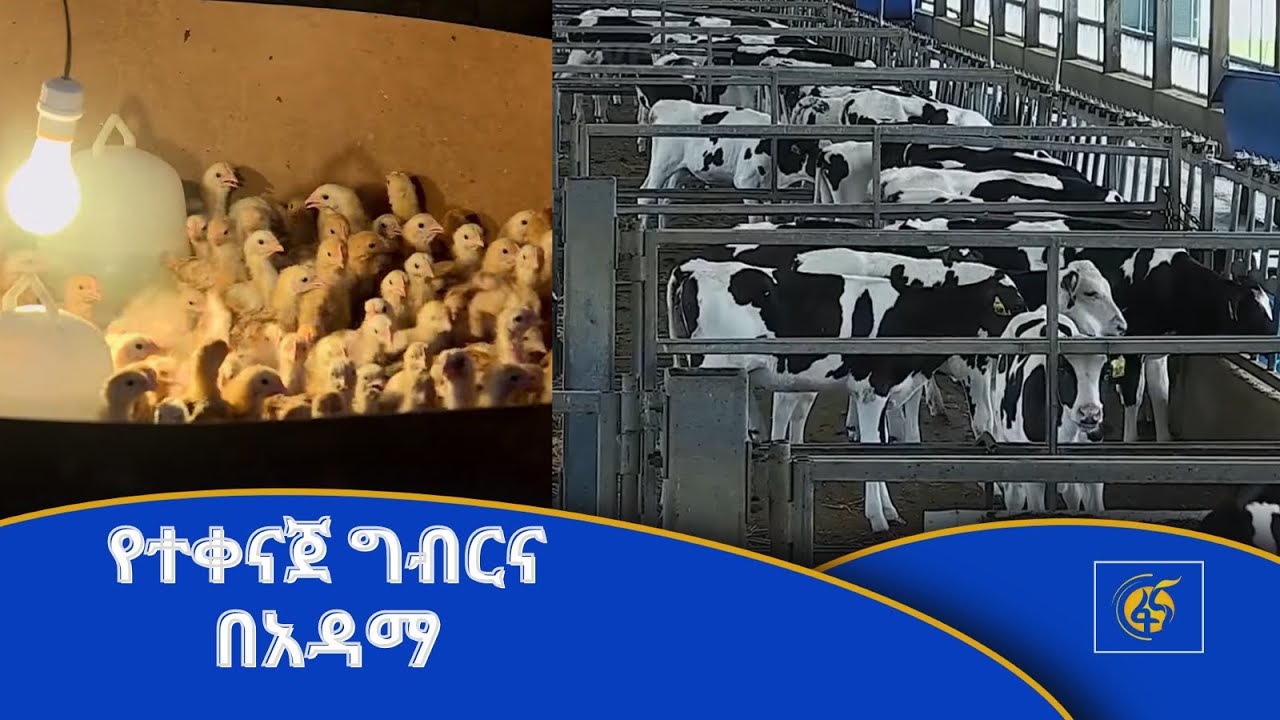 የተቀናጀ ግብርና በአዳማ