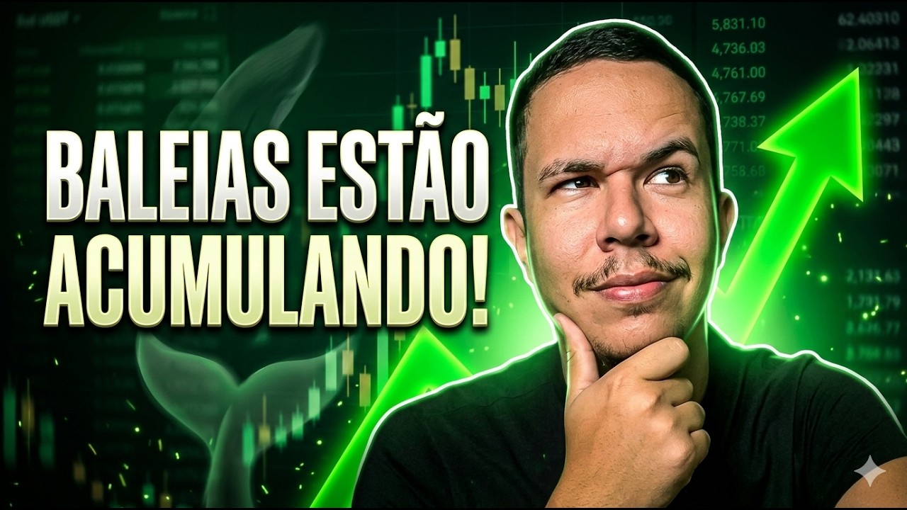 ALTA CHEGANDO ? BALEIAS SEGUEM COMPRANDO