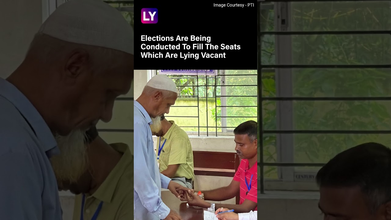 Bypolls 2023: Voting Underway In 6 States In First Face-Off Between INDIA Bloc & BJP-Led Government