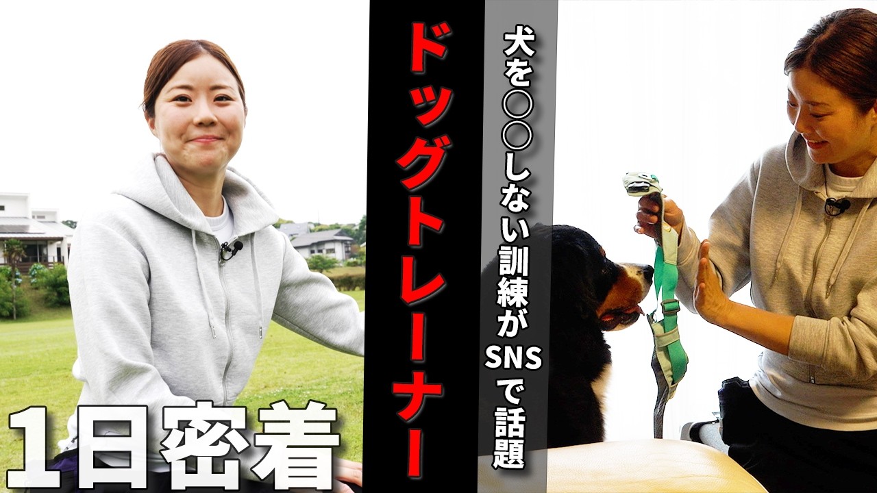 【1日密着】愛犬のQOL向上!!人気ドッグトレーナーのポジティブトレーニングに密着したら◯◯しないしつけの効果に驚愕!!