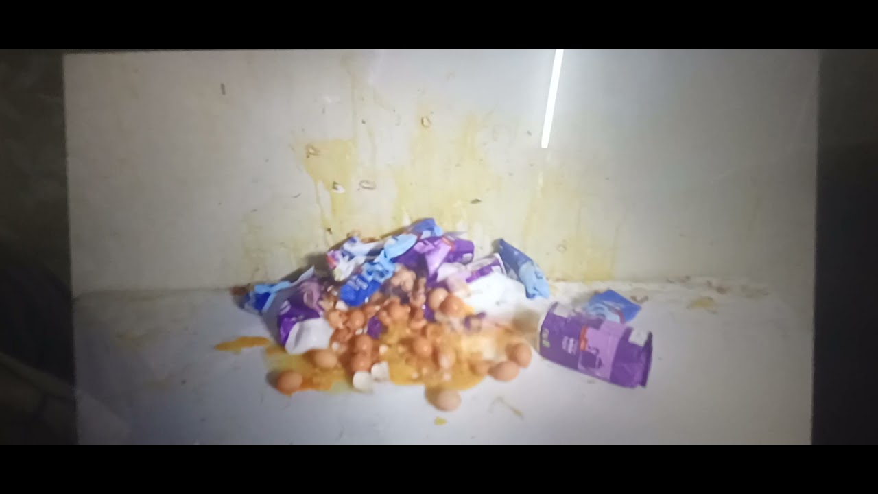Error Sugar, Baking Soda & Egg Get Destroyed
