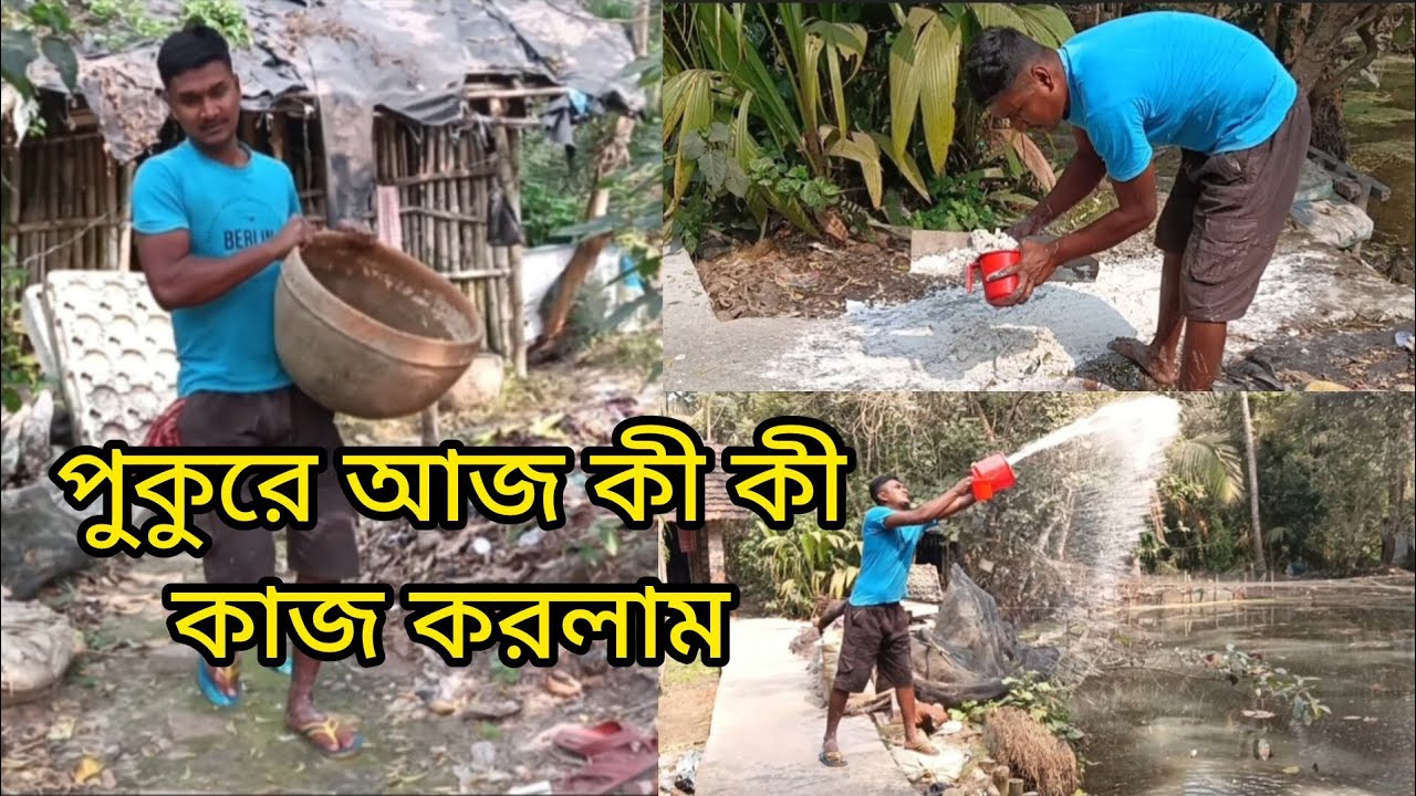 পুকুরে আজ কী কী কাজ করলাম #pond #villagepond #colourfish #pondcolourfish #fishfram #colourfishfarm