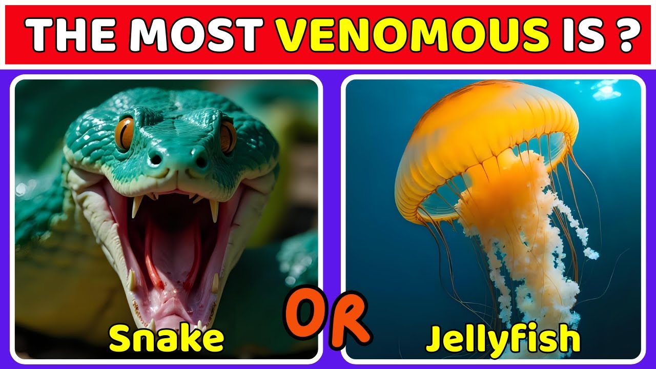 How Good Is Your Knowledge About Animals? 🦁🐒 Fun Animal Quiz Challenge | Fastest & Strongest Animals