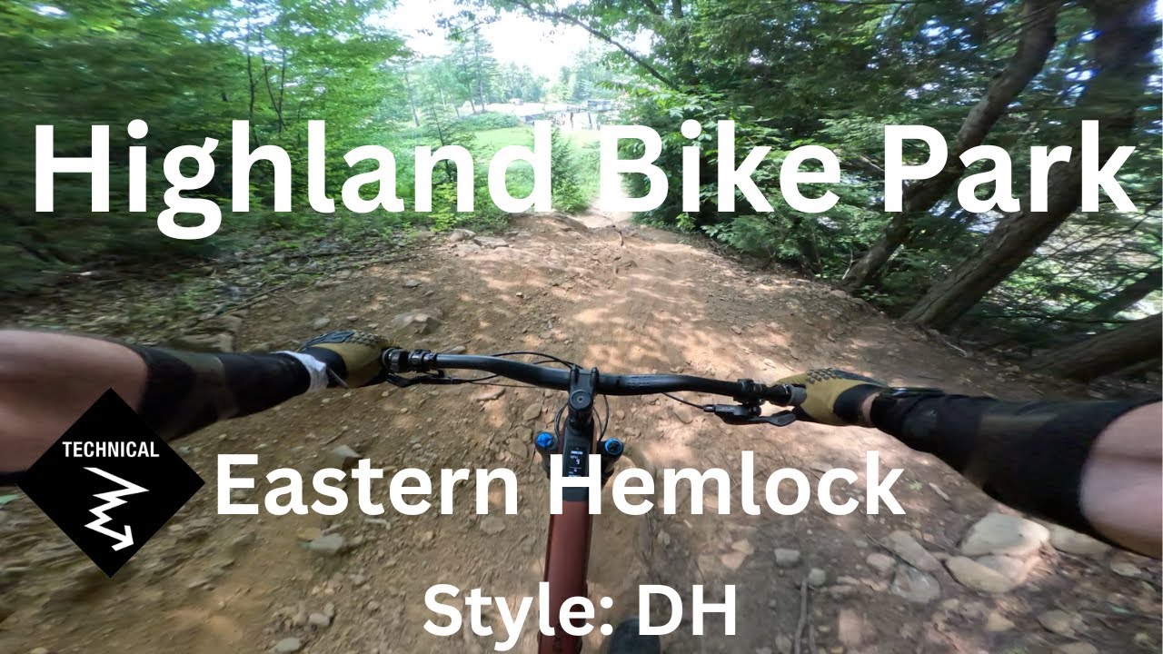 Eastern Hemlock - Highland Bike Park