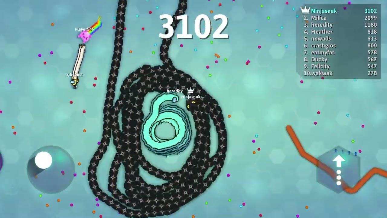 I am ninja snake