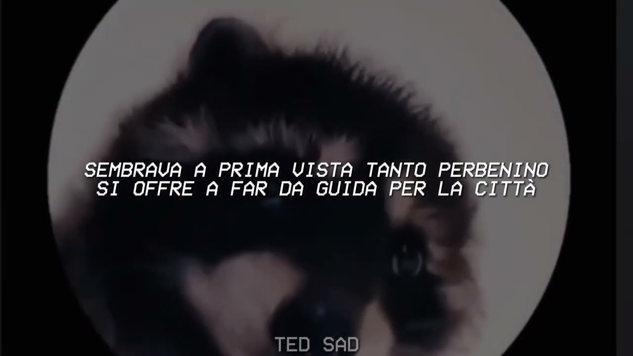PEDRO - Raffaella Carr&agrave;, Jaxomy, Agatino Romero (Remix TikTok - Letra) pedro pedro pedro pe-
