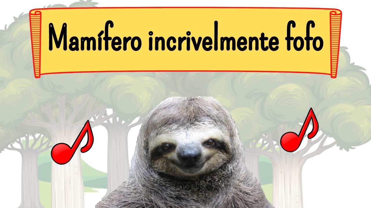 O mamífero mais simpático do mundo: Bicho-Preguiça - Sons e Curiosidades