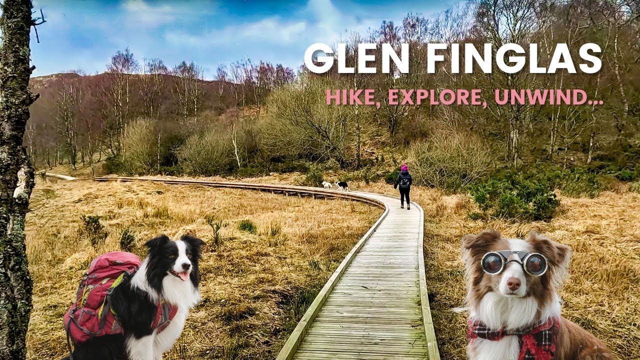 Explore Glen Finglas: Hiking Trails, Wildlife, and Crystal-Clear Water