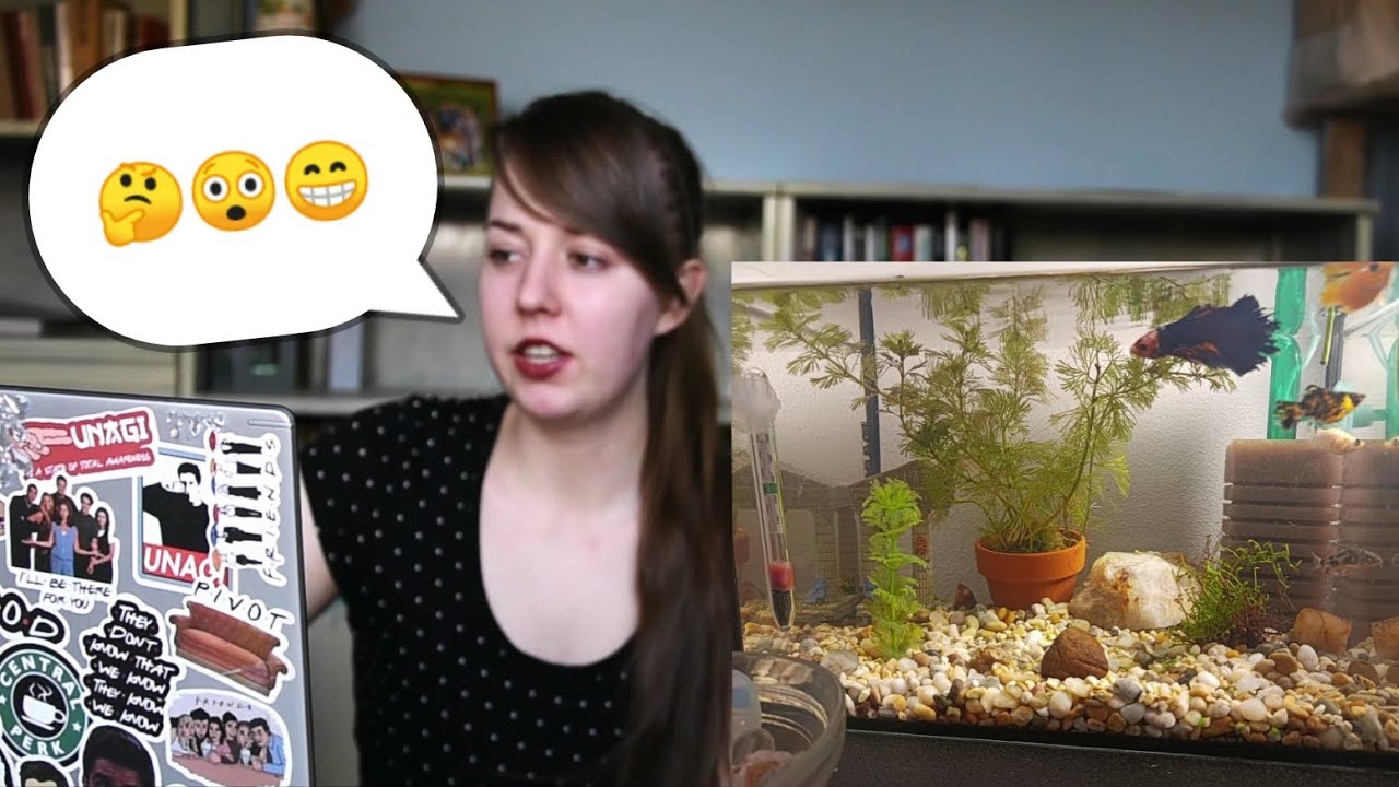 Hodnotím bydlení vašich mazlíčků | 1. díl