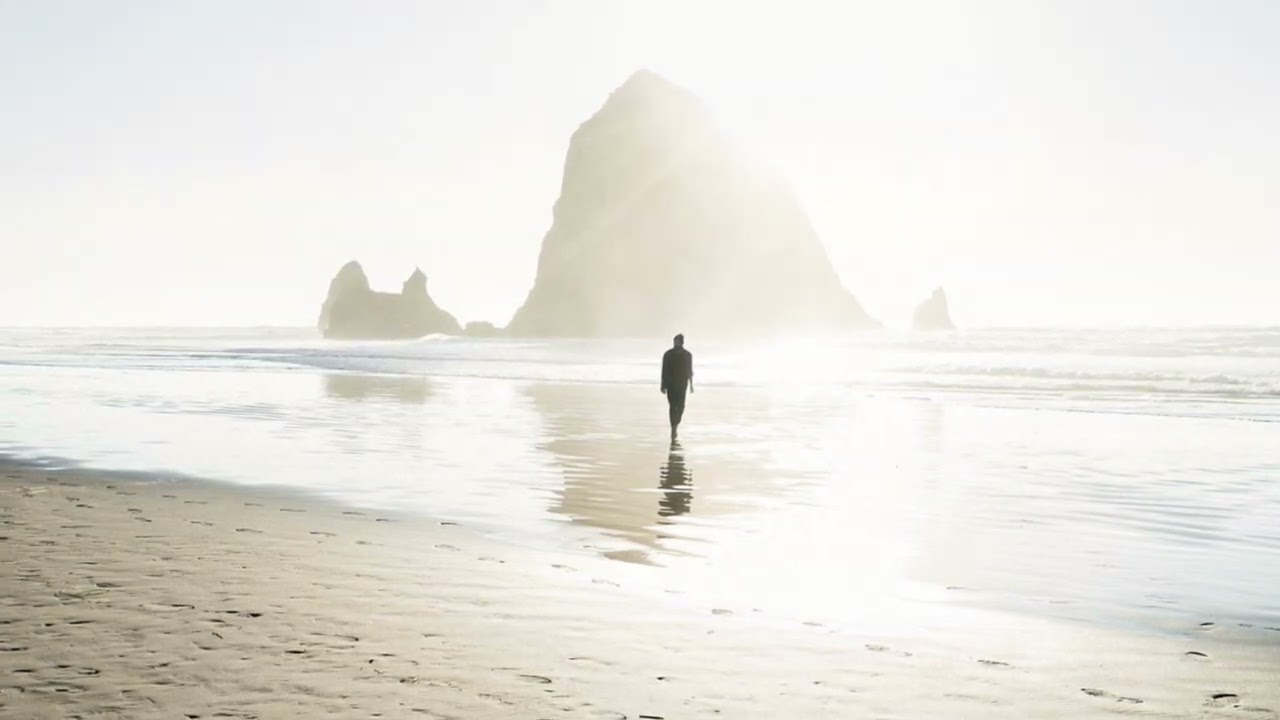 The Risen Jesus Meets His Disciples.  Welcome to New Vine Online!