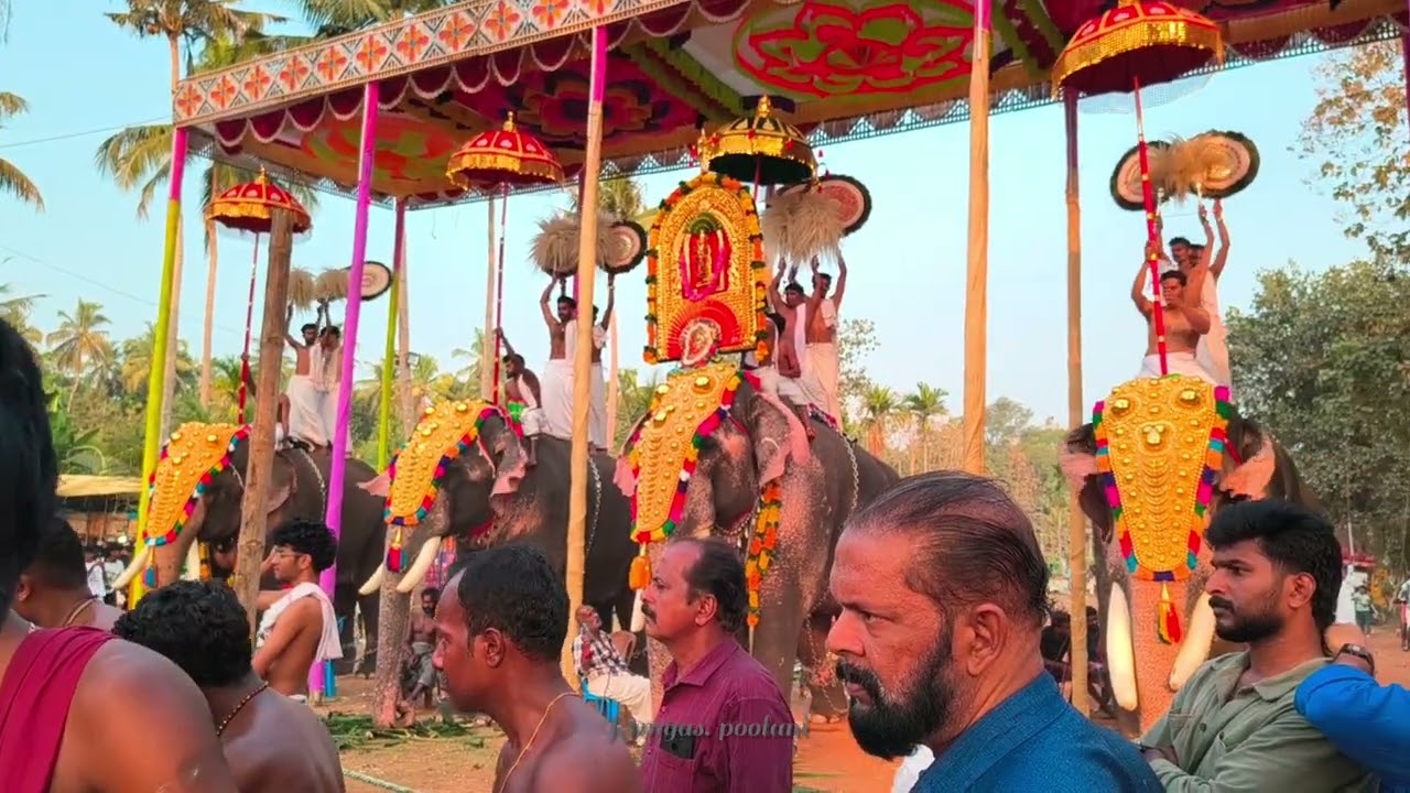 പഞ്ചവാദ്യം കൊട്ടി കയറിയപ്പോൾ #pooram #pancharimelam#video #viral #trending#viralvideo #youtubeshorts