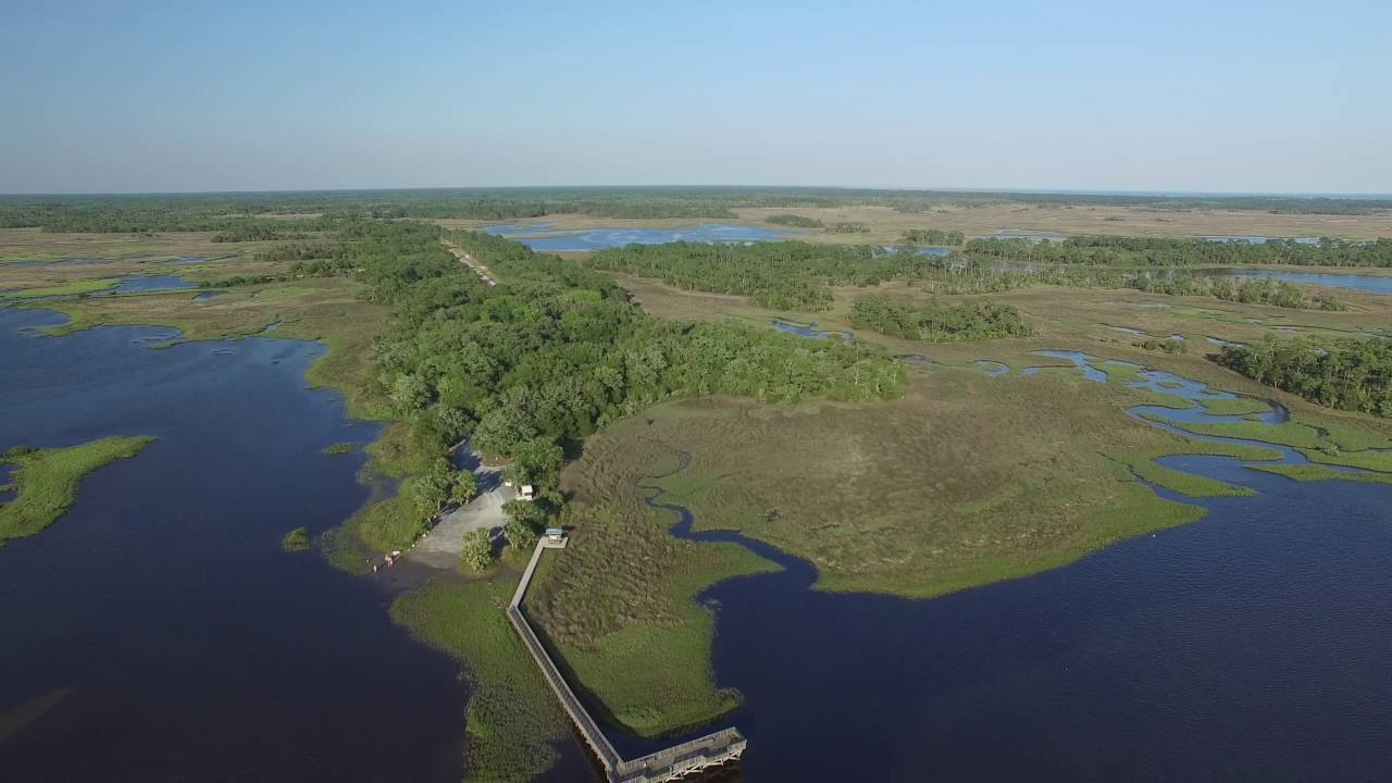 Shell Mound at Cedar Key FL