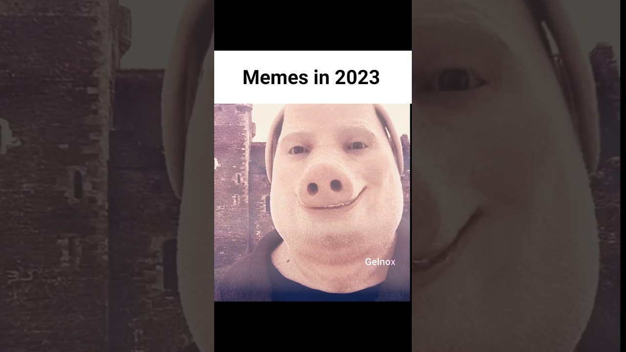 Memes 2025 vs 2023