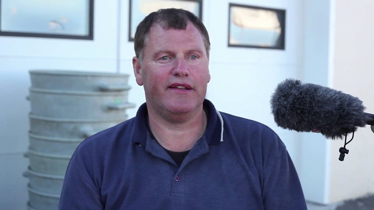 Skötuselurinn er minkur hafsins
