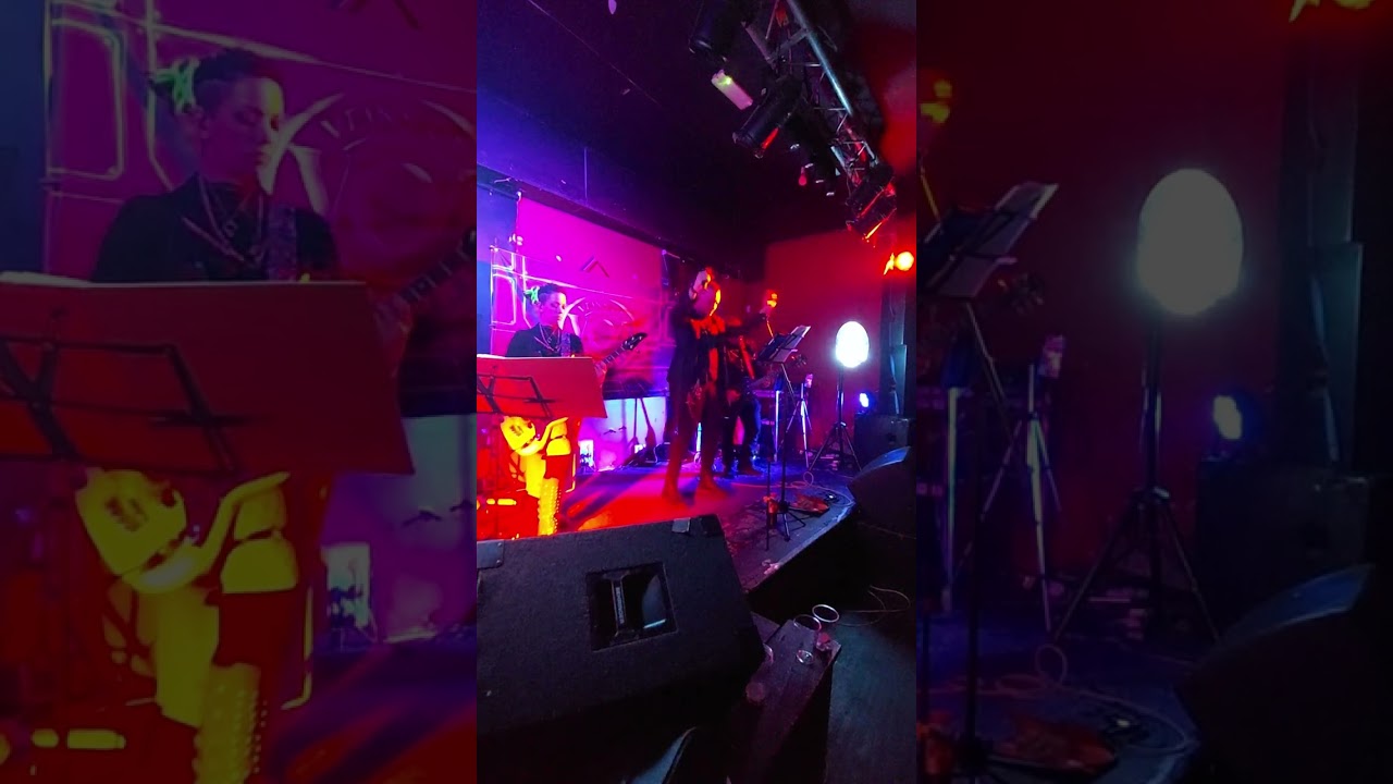 Veins of Mercury - Bleed and Rise