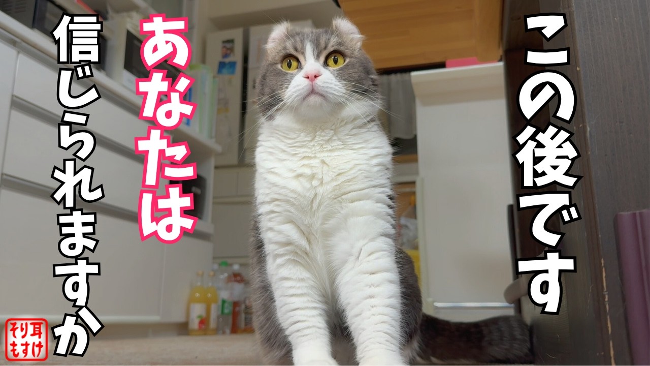 ママに異変！助けに立ち上がった父ちゃんの信じがたい愛情表現が胸アツ