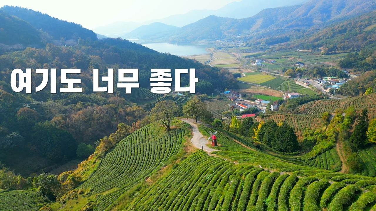 겨울에 꼭 한번은 가봐야 할_남도여행 일번지 보성