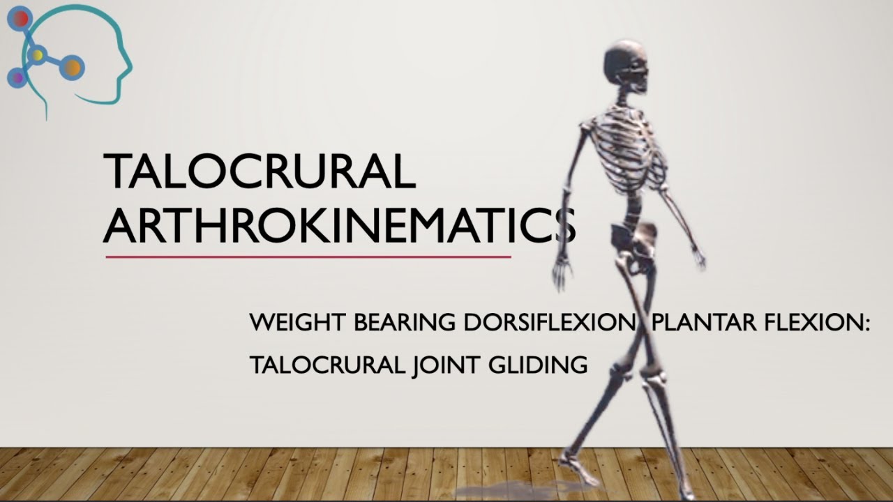 Talocrural Osteo/Arthrokinematics: Weight Bearing Dorsi/Plantar Flexion