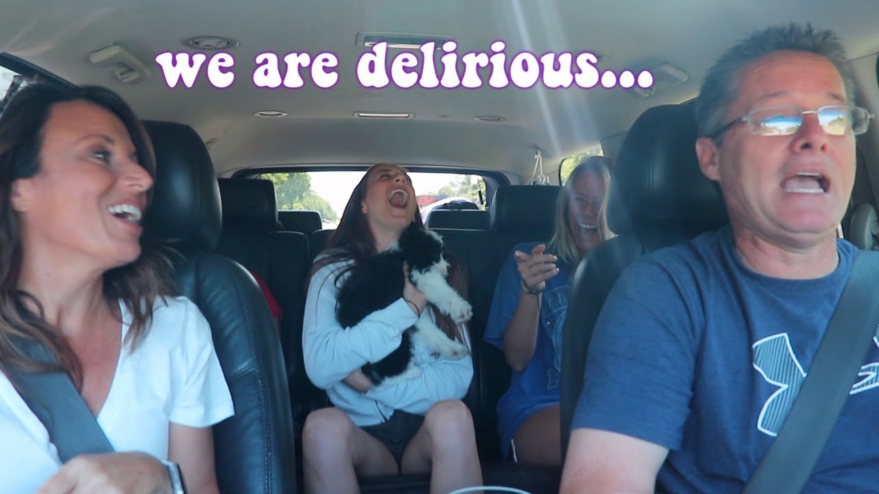 i took a *7 HOUR* road trip with my family...