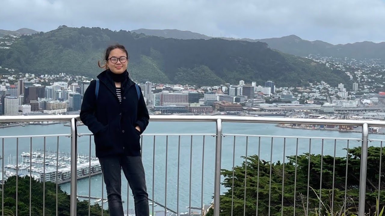5 reasons you should NOT move to Wellington | New Zealand