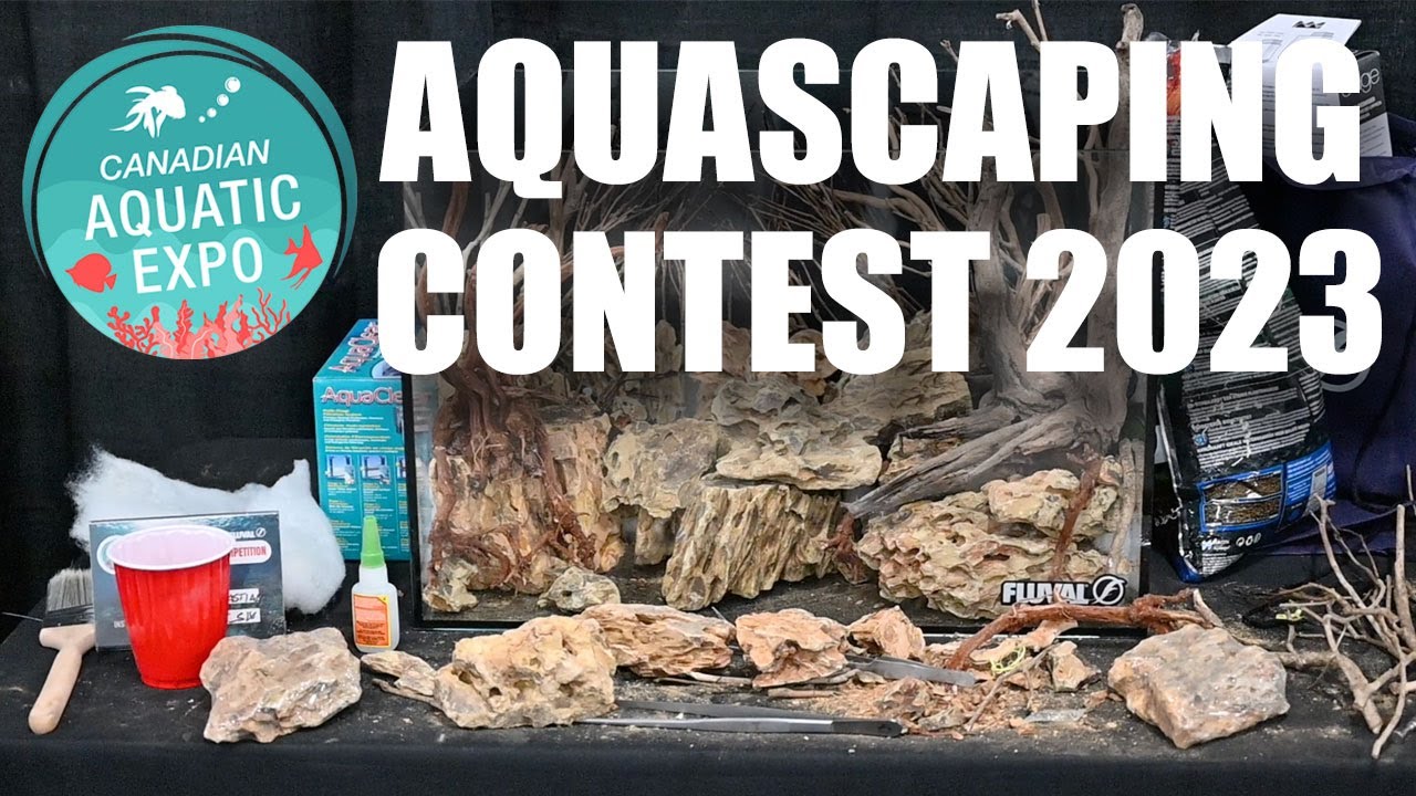 The canadian Aquatic Expo 2023 Aquascaping Contest