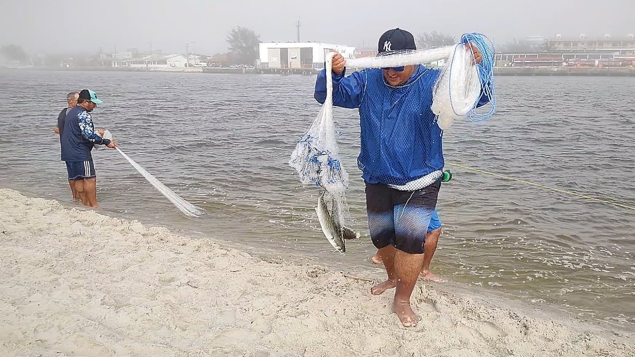Pesca de tarrafas, 09-02-24, Barra, Tramandaí, RS. #pescadetarrafas #netfish #botos #mulletfish