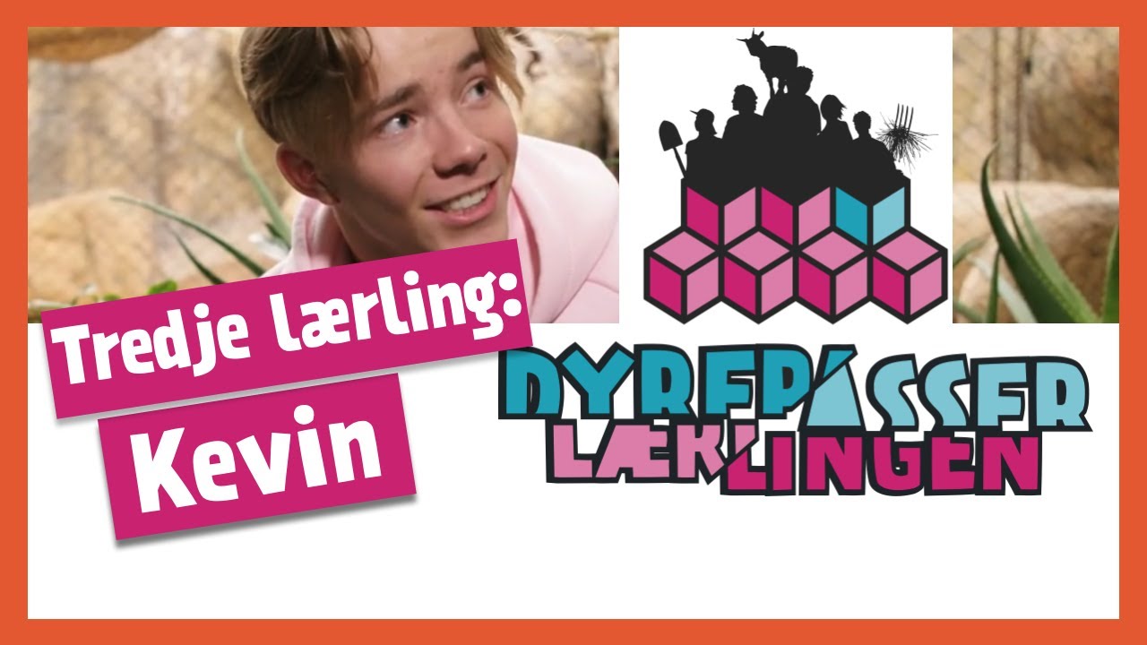 Se KEVIN HAUGAN🕺🏼 mate TIGRENE🐅! Dette er tredje episode av DYREPASSERLÆRLINGEN!
