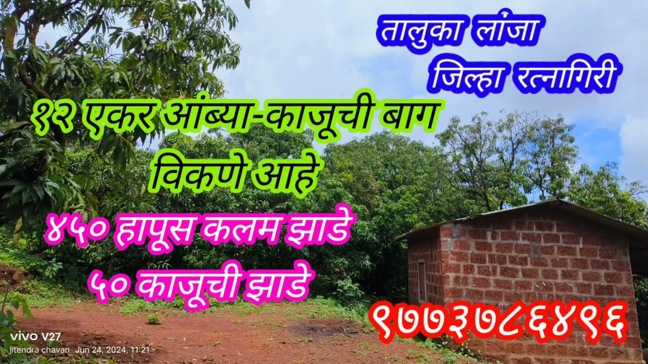 farm sale in lanja ratnagiri kokan