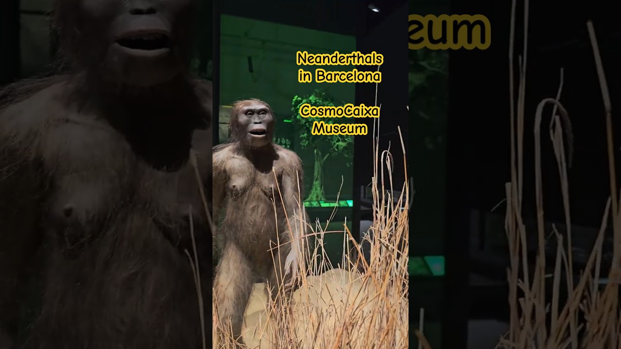 🦖🧬 CosmoCaixa - the Best Science Museum in Barcelona #spain