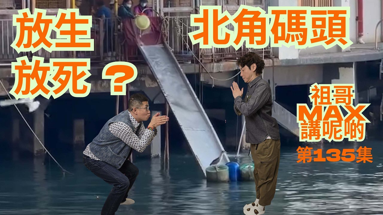 北角碼頭放生海鮮 / 究竟係放生定係放死 ? / 是積福積德 ? 定係毀滅生命 ? / 祖哥新春盆菜預訂,聯絡小助手93698034 /