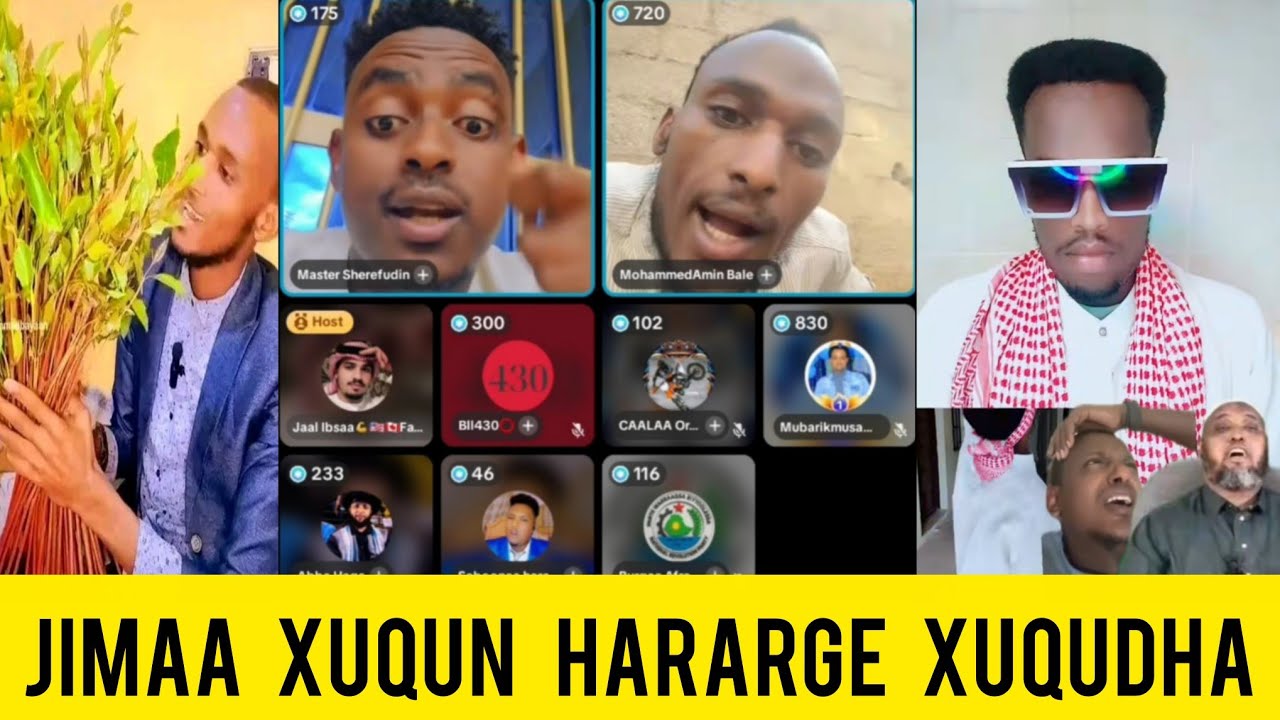 Jimaa xuqun hararge xuqudha male wan birati miti warii jimaan harami jetan kota jecha jira 