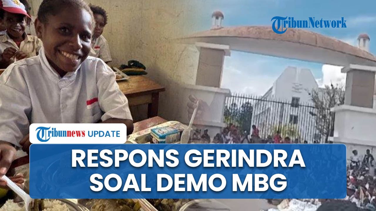 Respons Gerindra soal Demonstrasi Protes MBG di Papua, Anggap Hal Wajar karena Program Baru