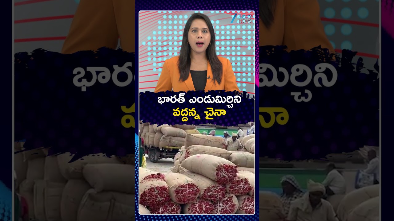 China Returns Guntur Mirchi | Shock To Chandrababu | భారత్ ఎండుమిర్చిని వద్దన్న చైనా | ZEE Telugu