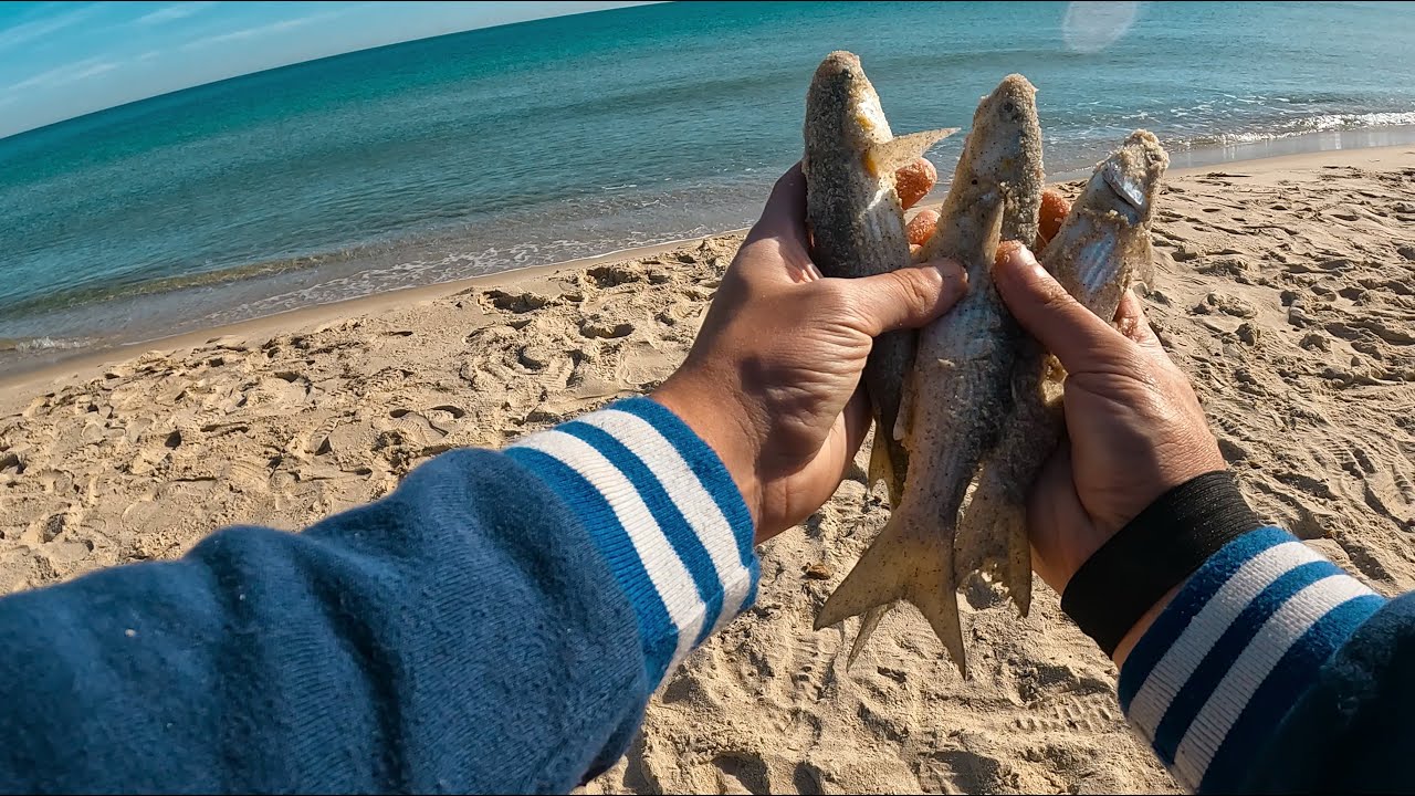 Sortie de pêche à salloum