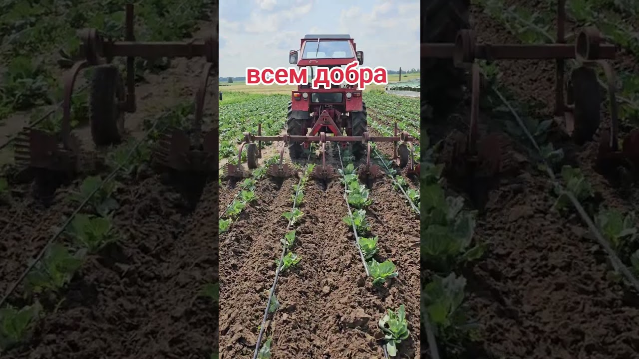 16 июля 2024 г.