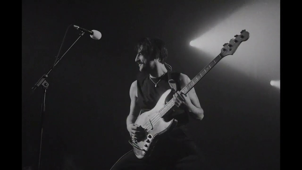 Sexy Zebras - Bailaremos (Live)