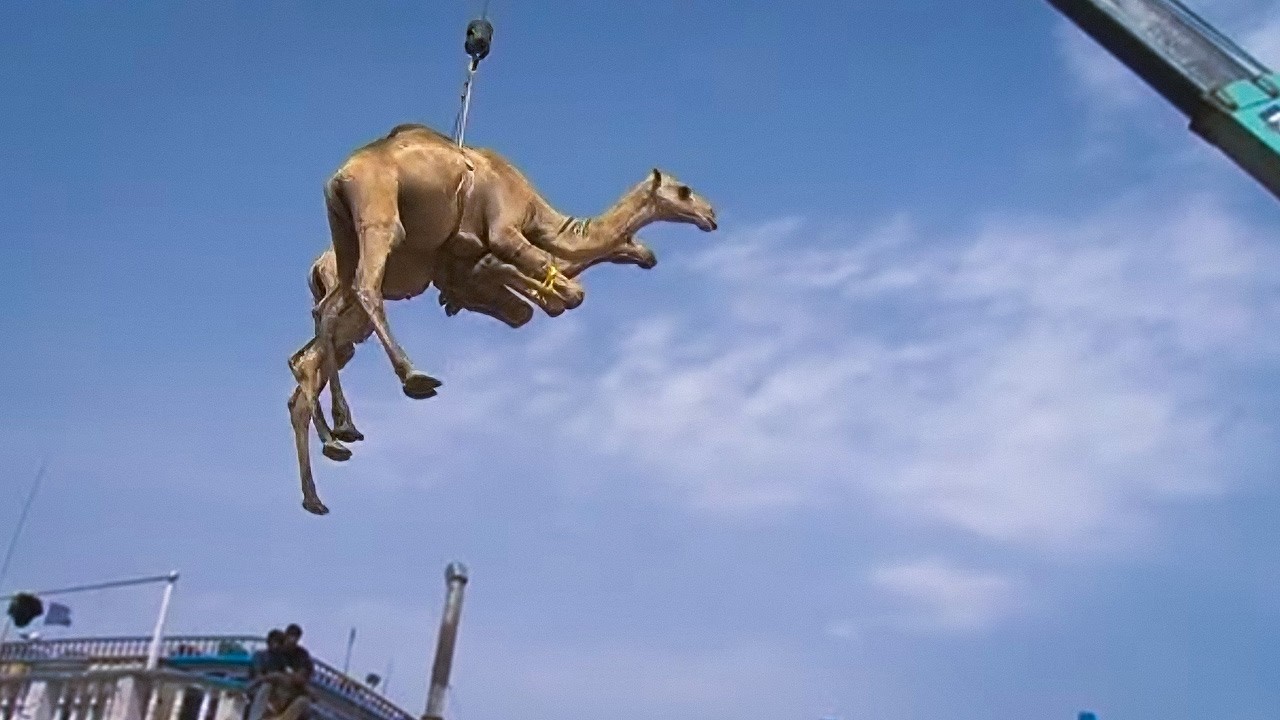 Somalie : le mode opératoire des Pirates