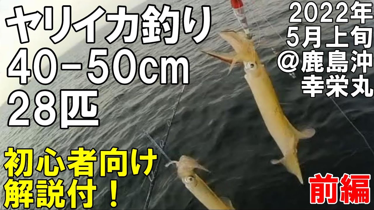 【初心者向け解説付】ヤリイカ釣り多点掛け連発好調！2022年5月上旬@鹿島沖 幸栄丸 前編 仕掛けや追い乗りさせる方法